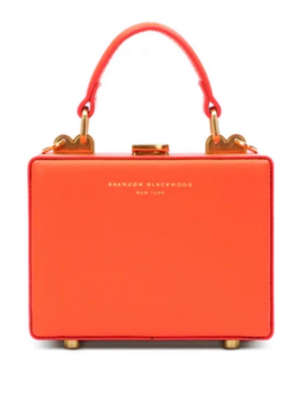 Brandon Blackwood Burnt Orange Mini Kendrick Trunk Leather with Brass Hardware